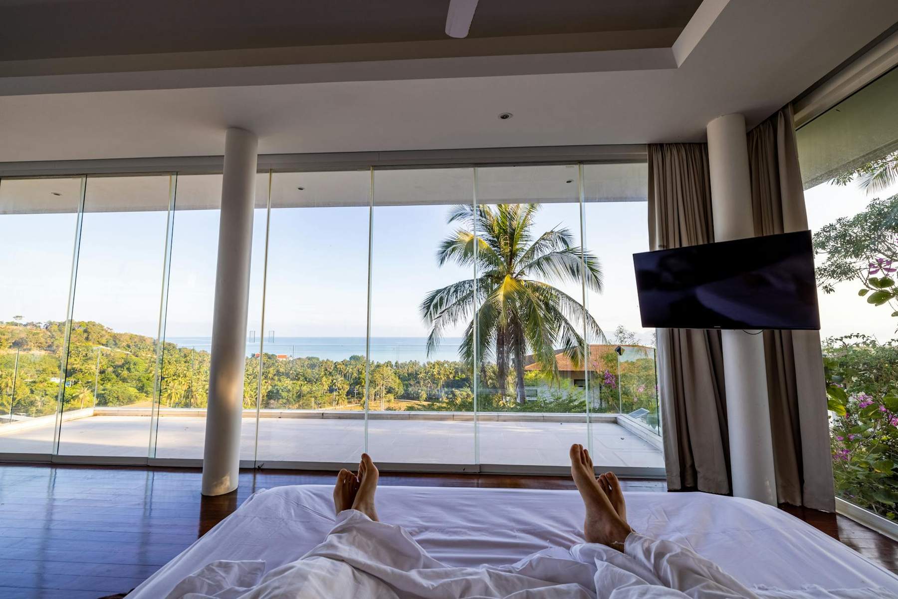 Where to Stay in Auckland: Best Neighbourhoods & Hotels for 2026