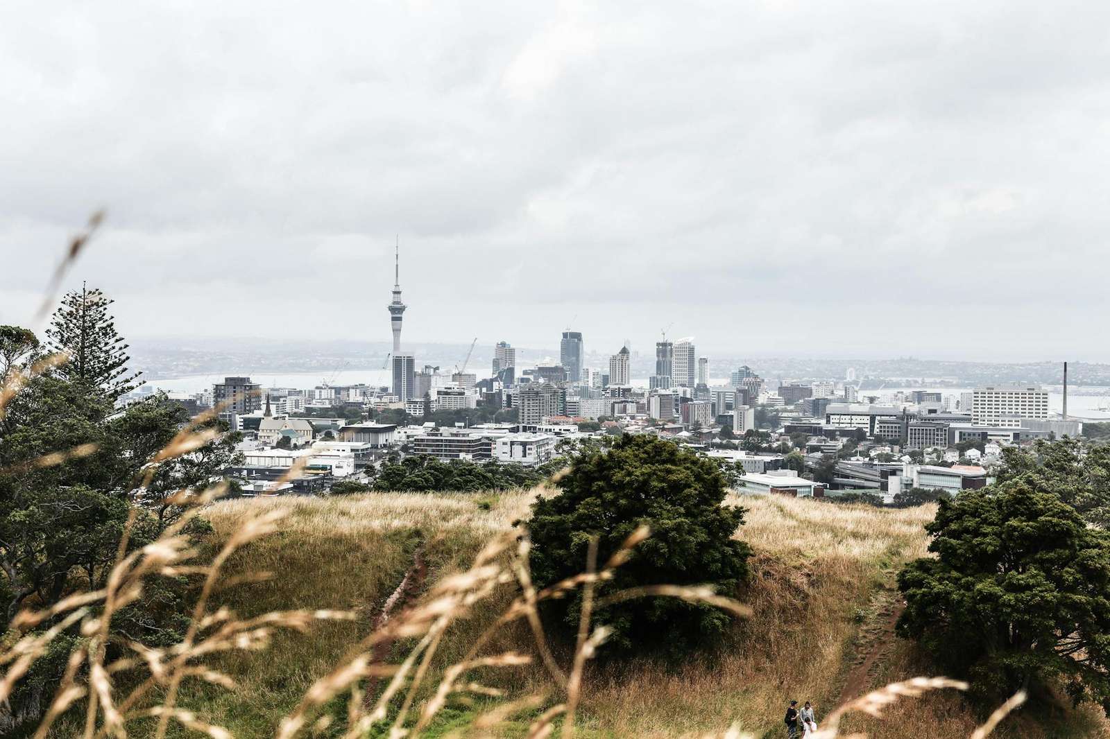 Green crater of Mount Eden (Maungawhau) volcano in Auckland