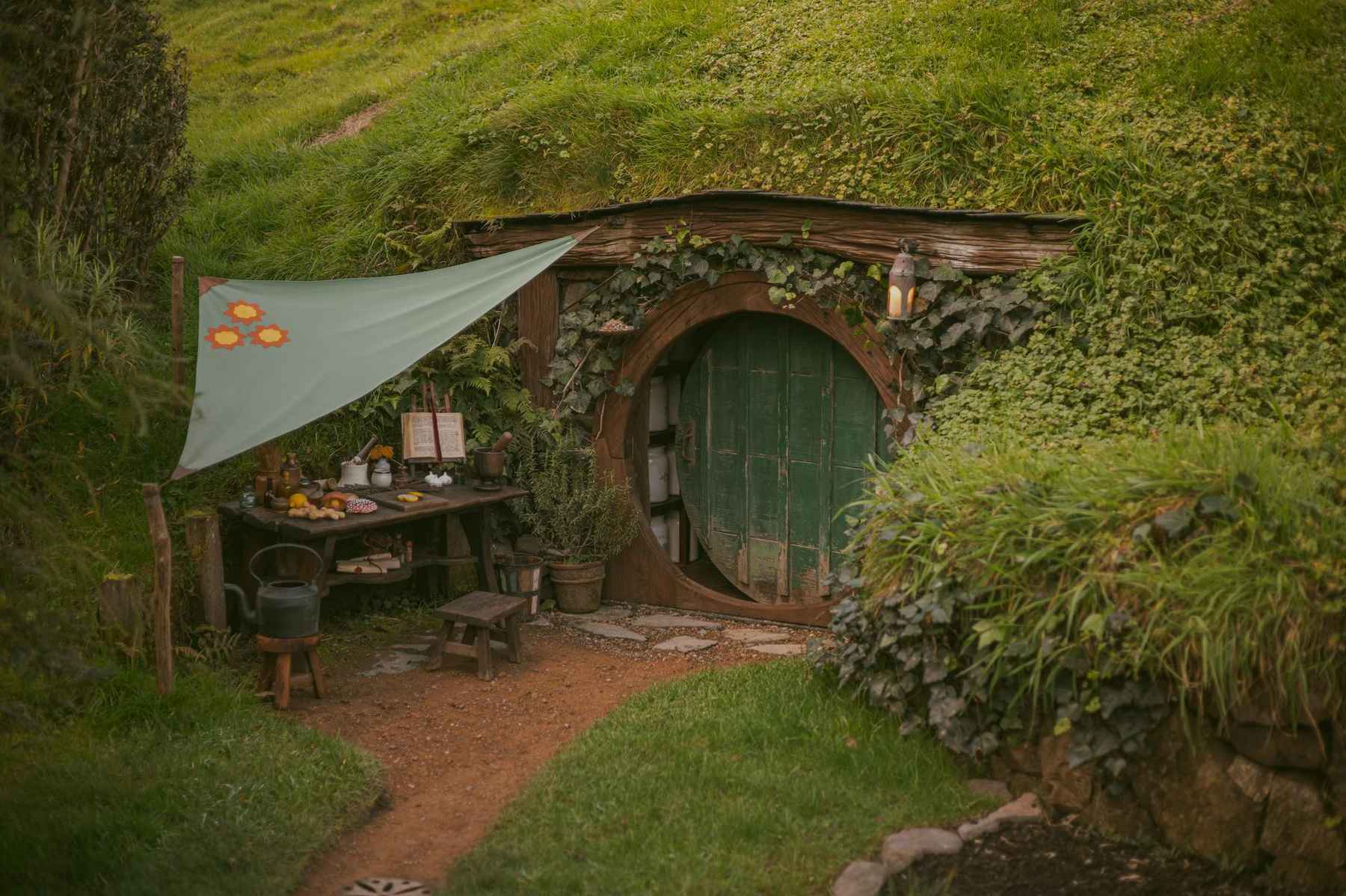 Rolling green farmland near the Hobbiton Movie Set at Matamata
