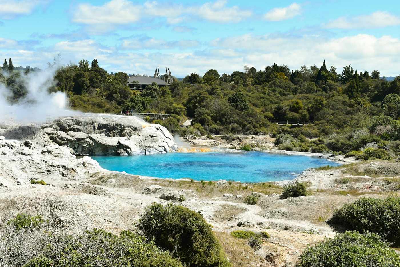 Steaming geothermal pool near Rotorua south of Auckland