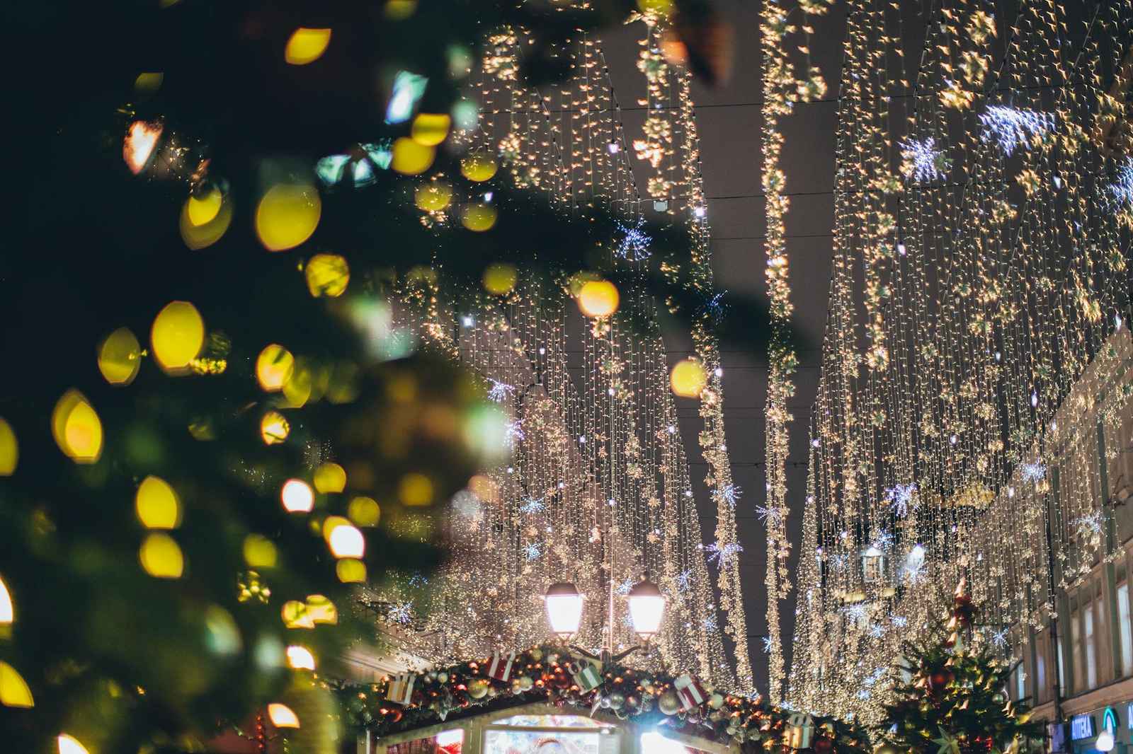 Christmas lights and tree at an Auckland outdoor Christmas event