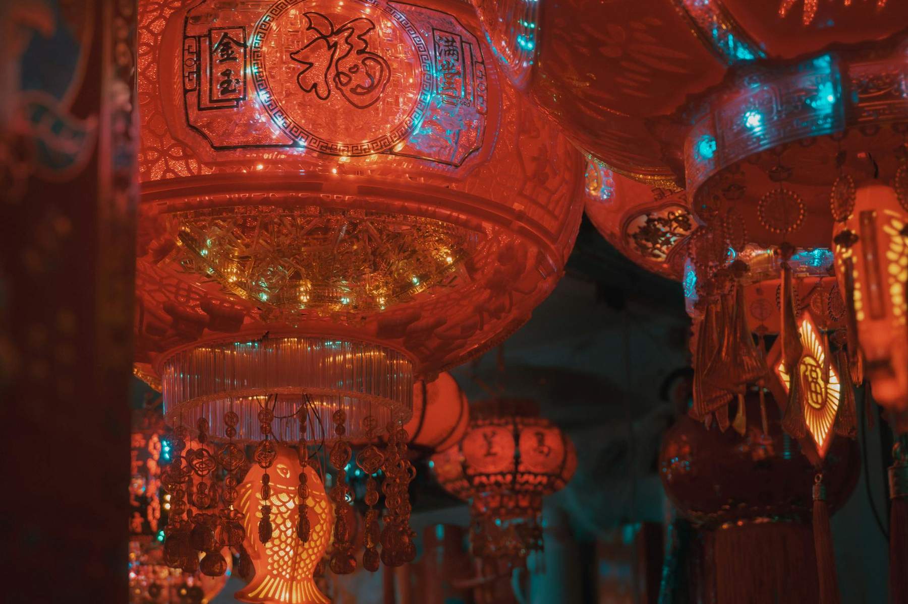 Lanterns glowing at the Auckland BNZ Lantern Festival