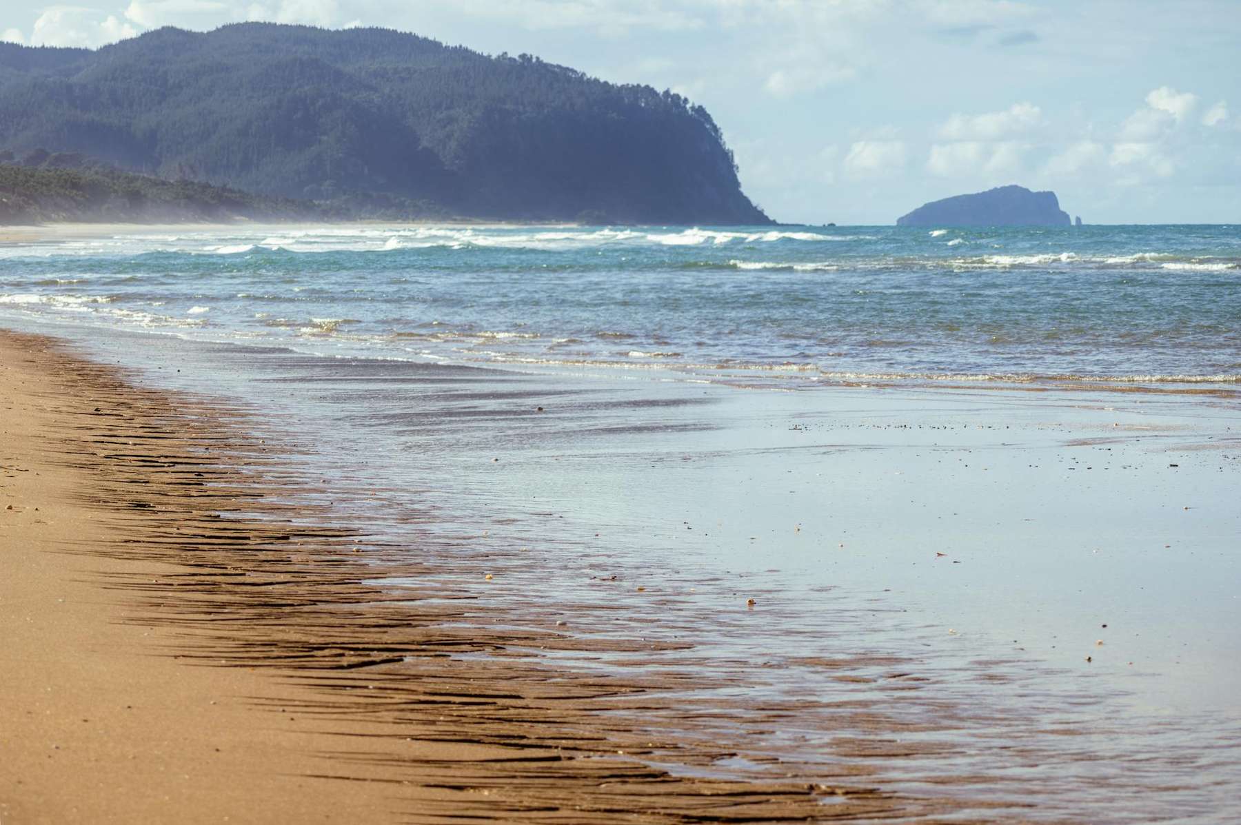 Sunny Auckland summer beach with turquoise water and clear skies