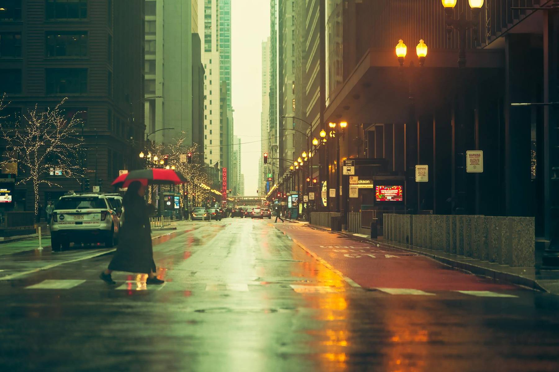Rainy winter street with umbrella typical of Auckland in June-July