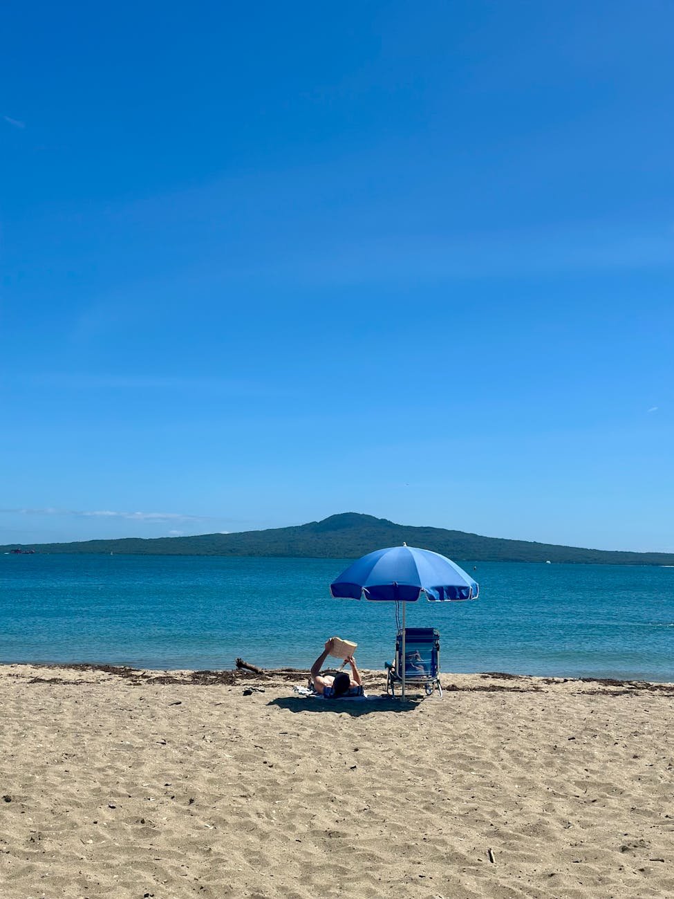 Sunny summer day at an Auckland beach with blue sky