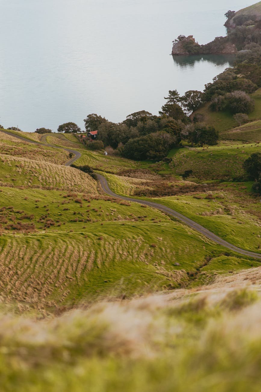 Waikato countryside road from Auckland to Matamata
