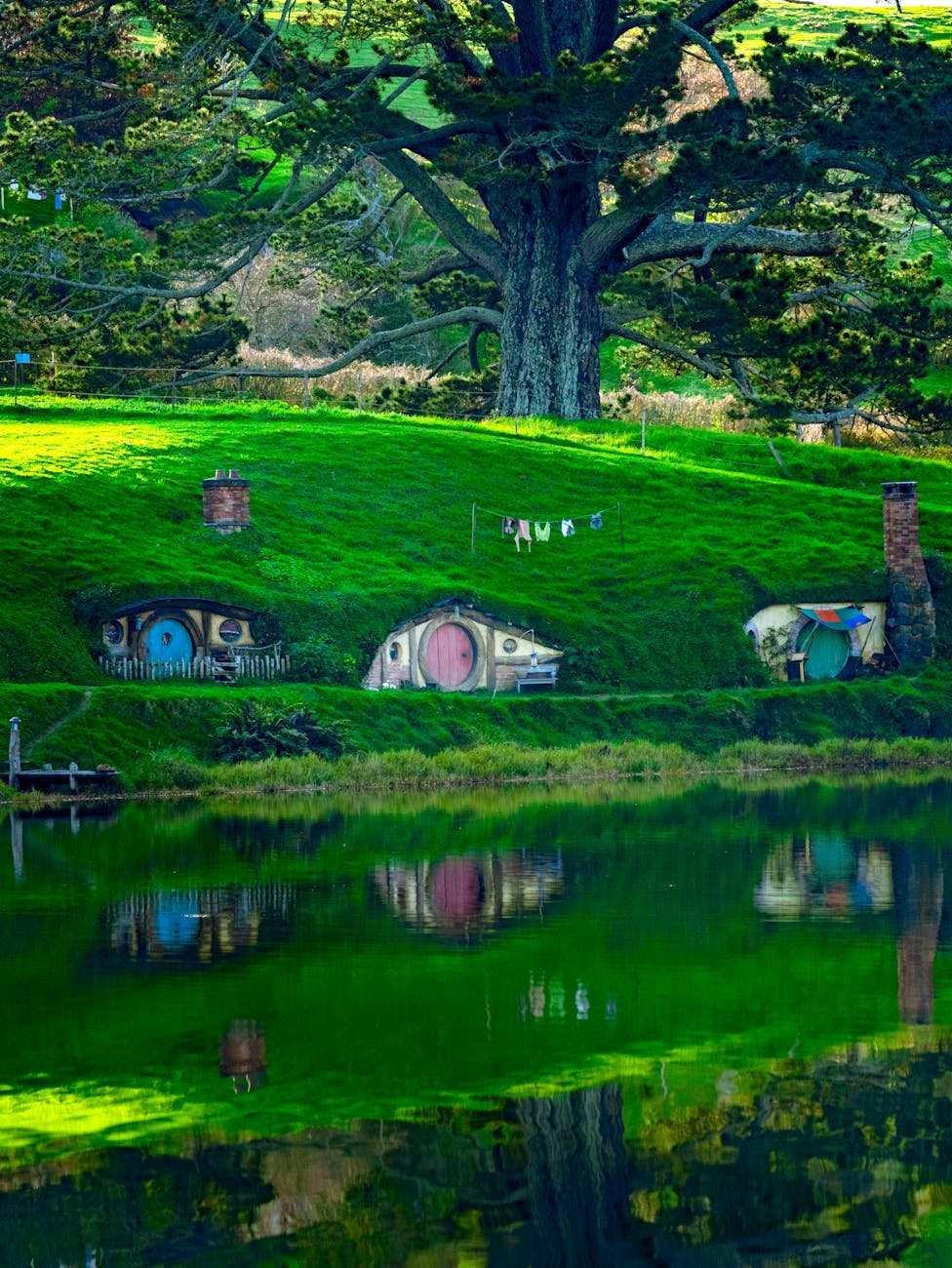 Hobbit hole with round green door at Hobbiton Movie Set