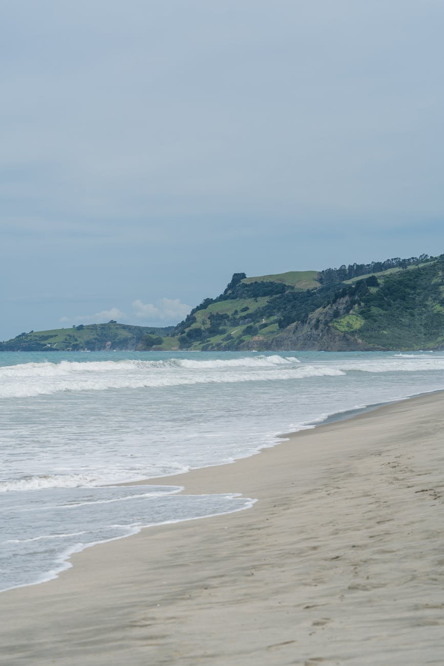 Golden-sand Takapuna Beach with calm water