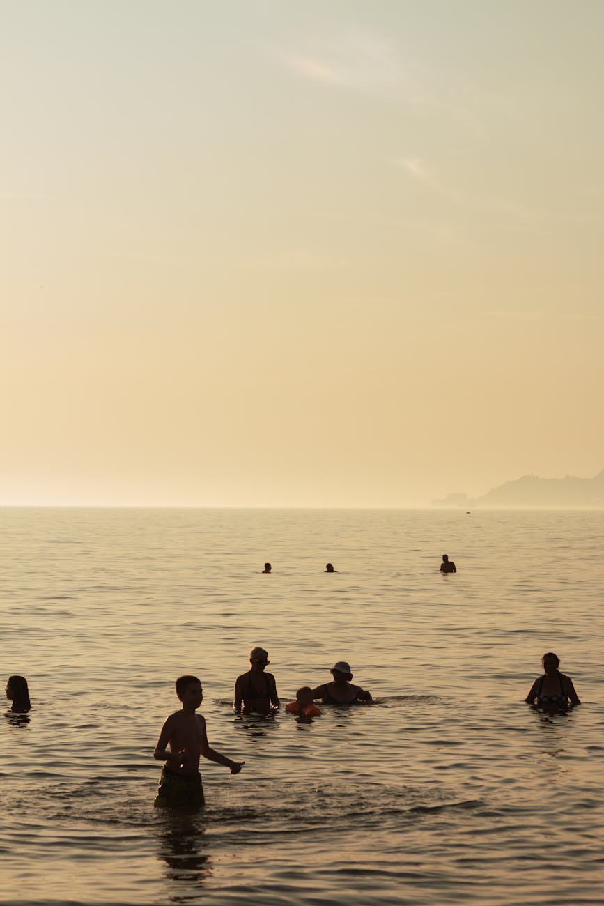People swimming at a calm Auckland beach in summer