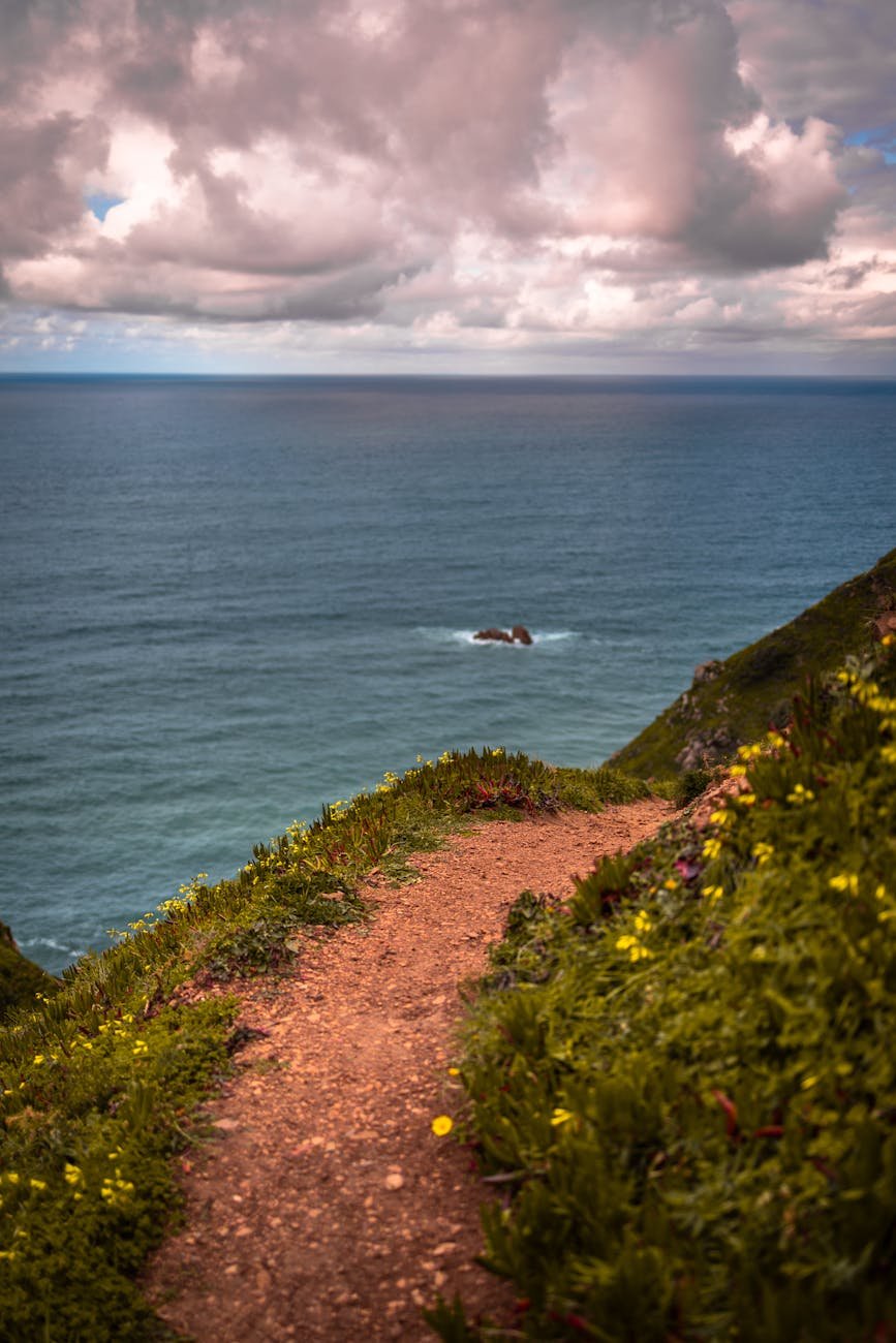 Coastal walking path with cliff and ocean view