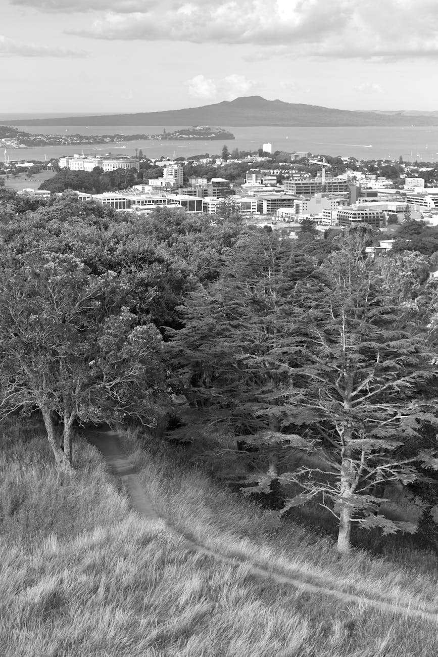 Mt Eden volcanic crater overlooking Auckland