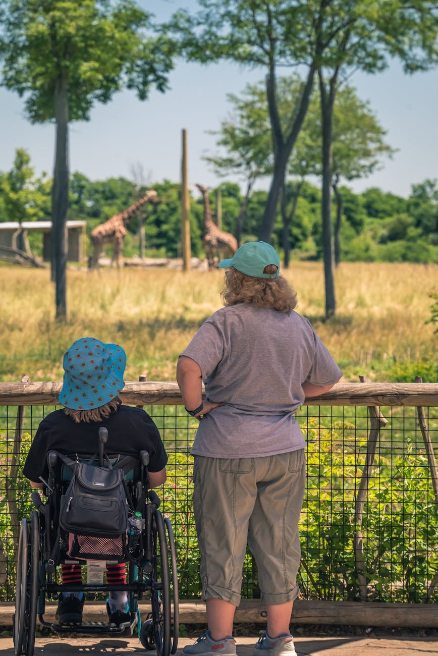 Auckland Zoo Guide: Tickets, Animals & Tips (2026)