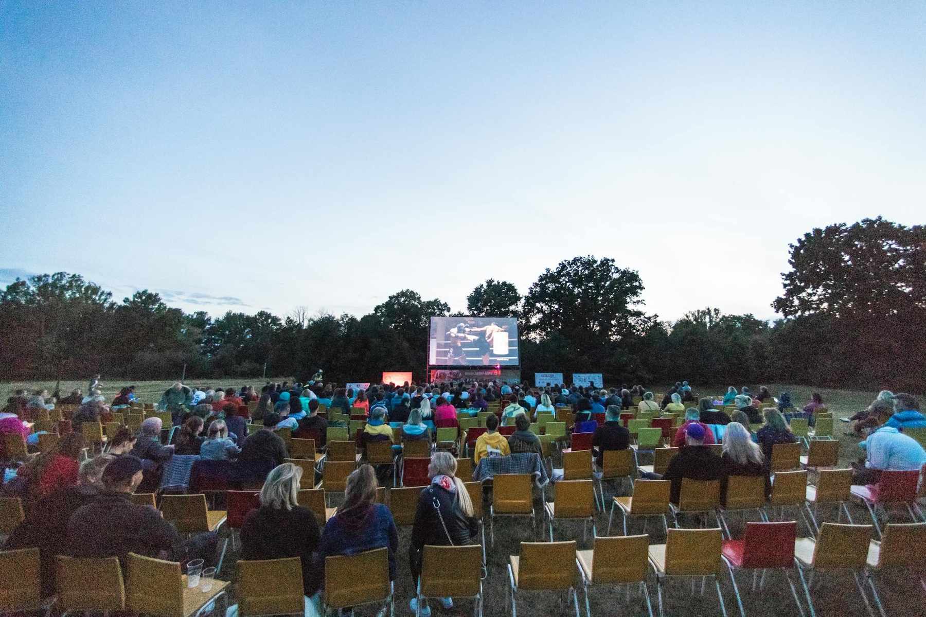 Outdoor cinema in an Auckland park on a summer evening