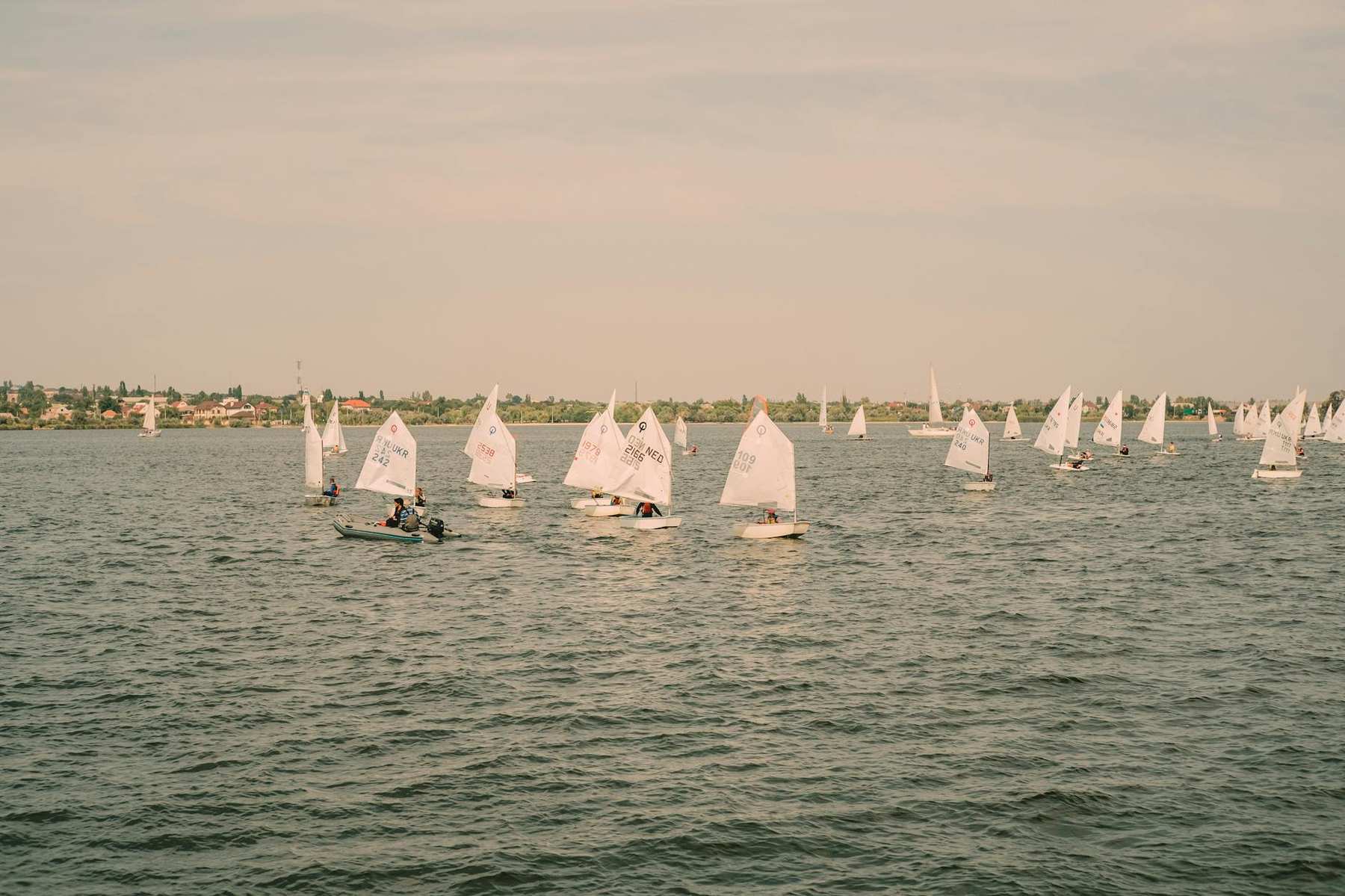 Sailing boats competing in the Auckland Anniversary Day Regatta