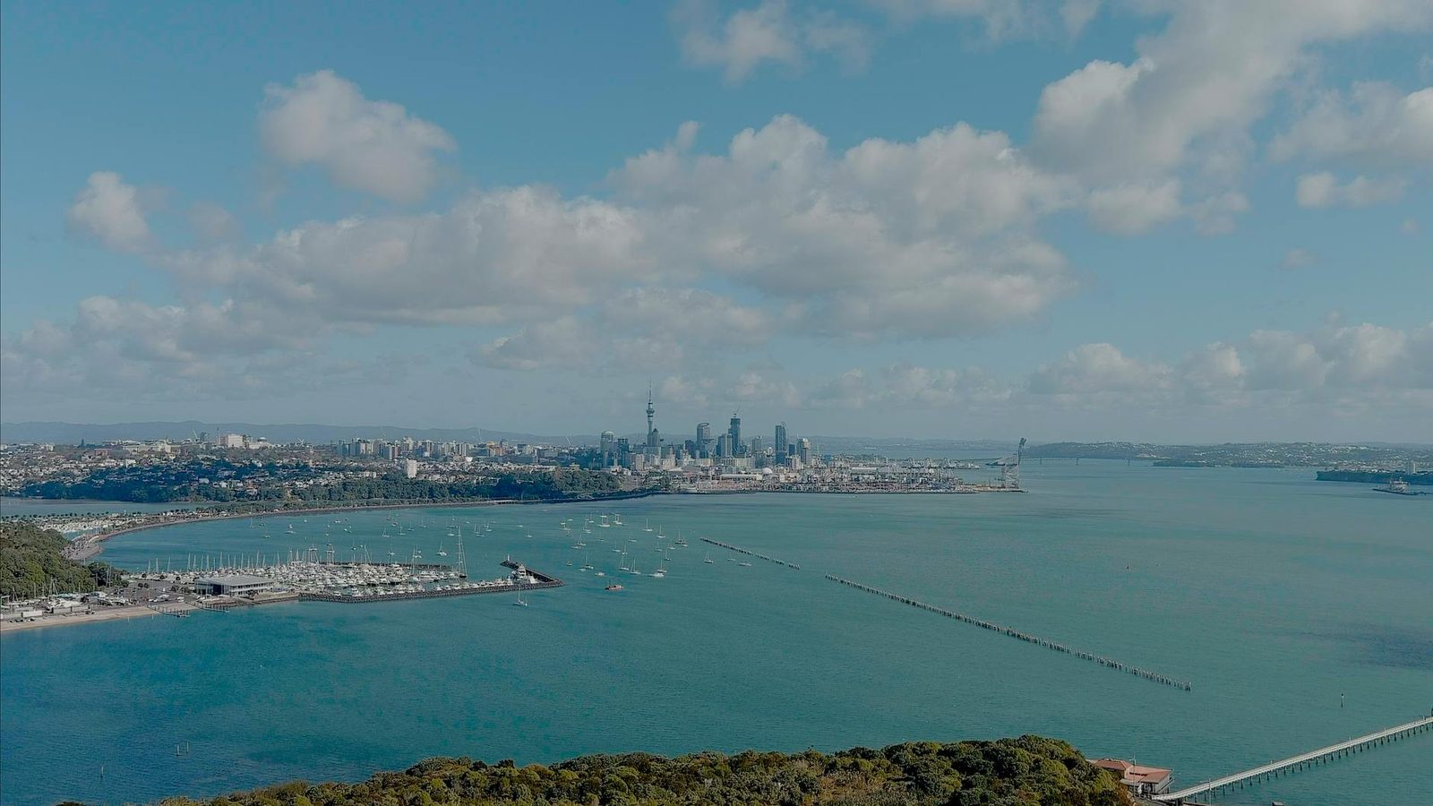 Waiheke Island vineyard overlooking the Hauraki Gulf near Auckland