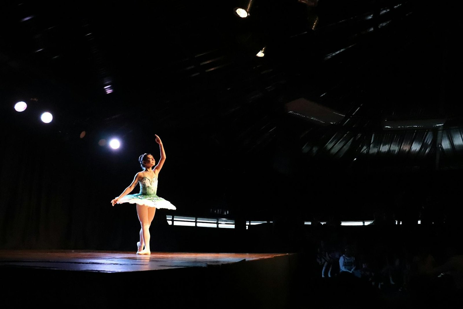 Auckland theatre — Royal NZ Ballet seasons