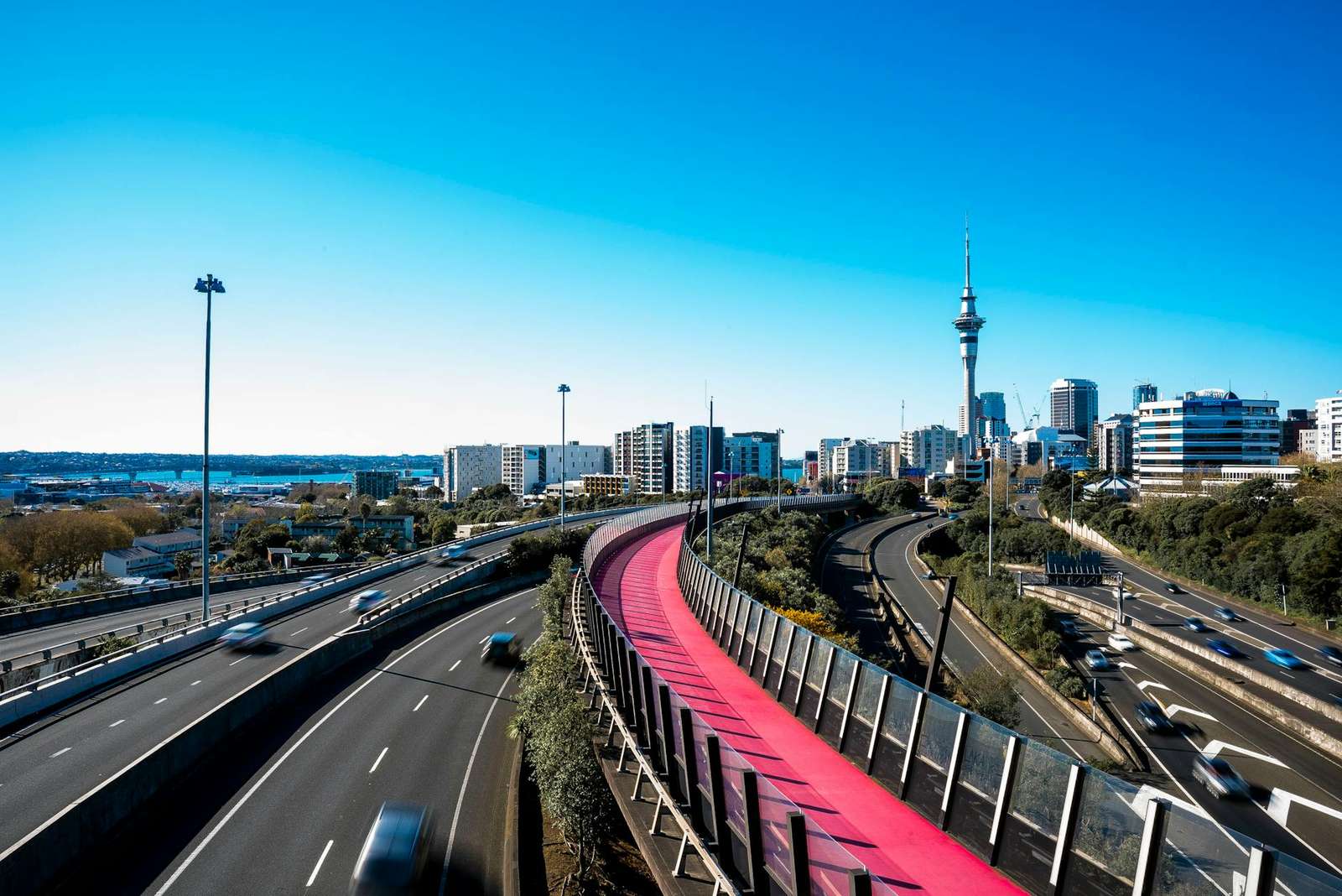 Cycling in Auckland — CBD bike lanes