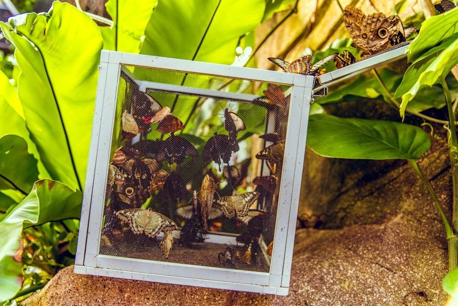 Butterfly Creek Auckland — tropical enclosure