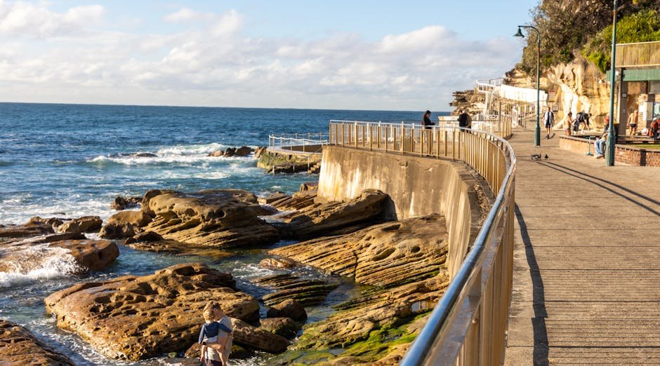 Auckland coastal walks — clifftop path
