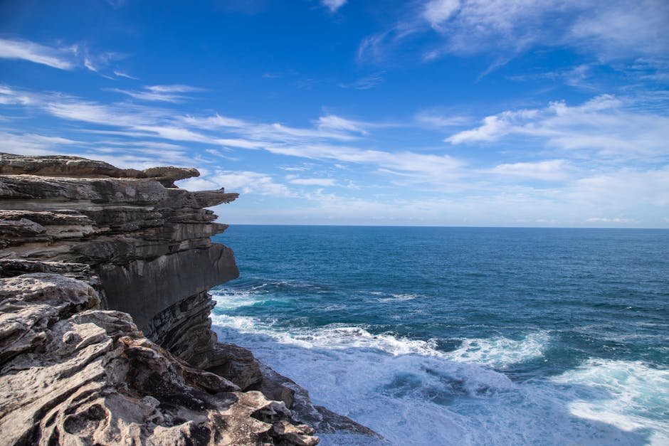Auckland coastal walks — ocean view