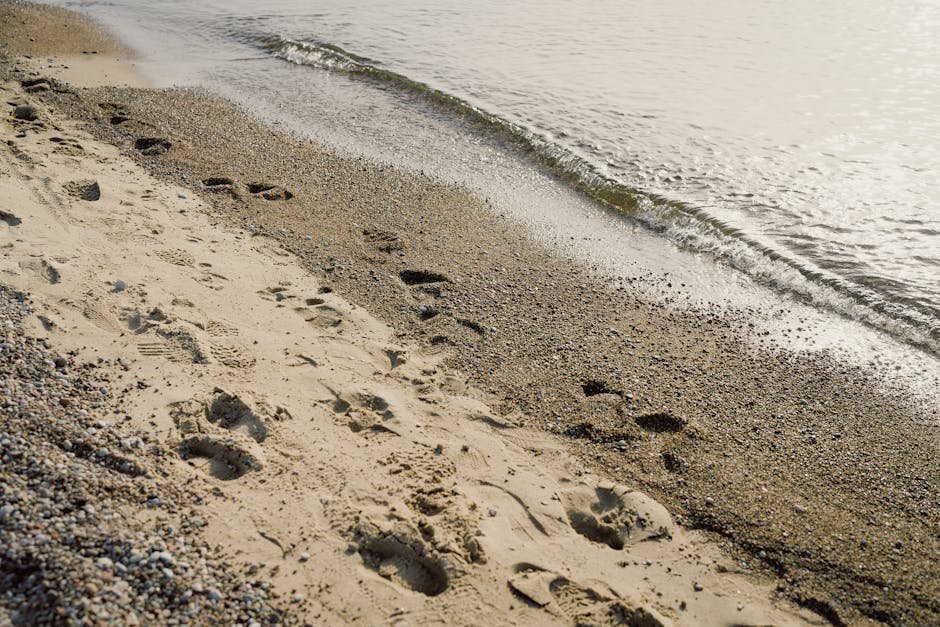 Auckland coastal walks — beach trail