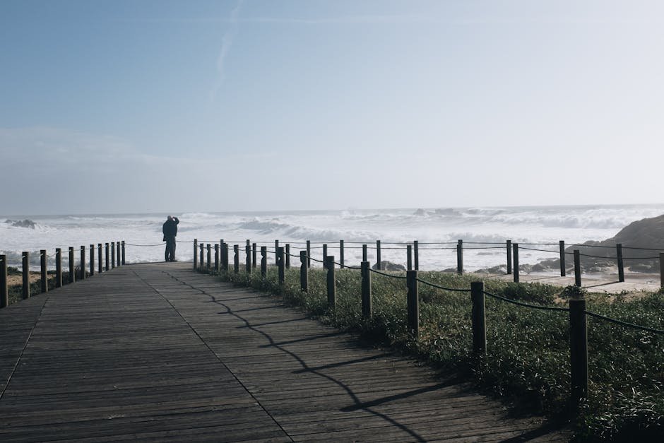 Auckland coastal walks — boardwalk