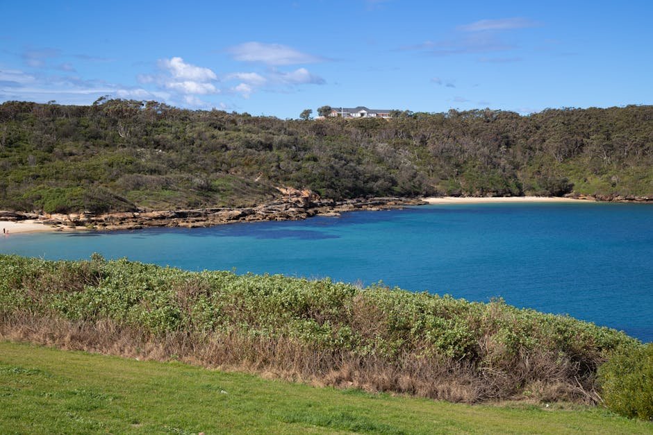 Auckland coastal walks — headland track