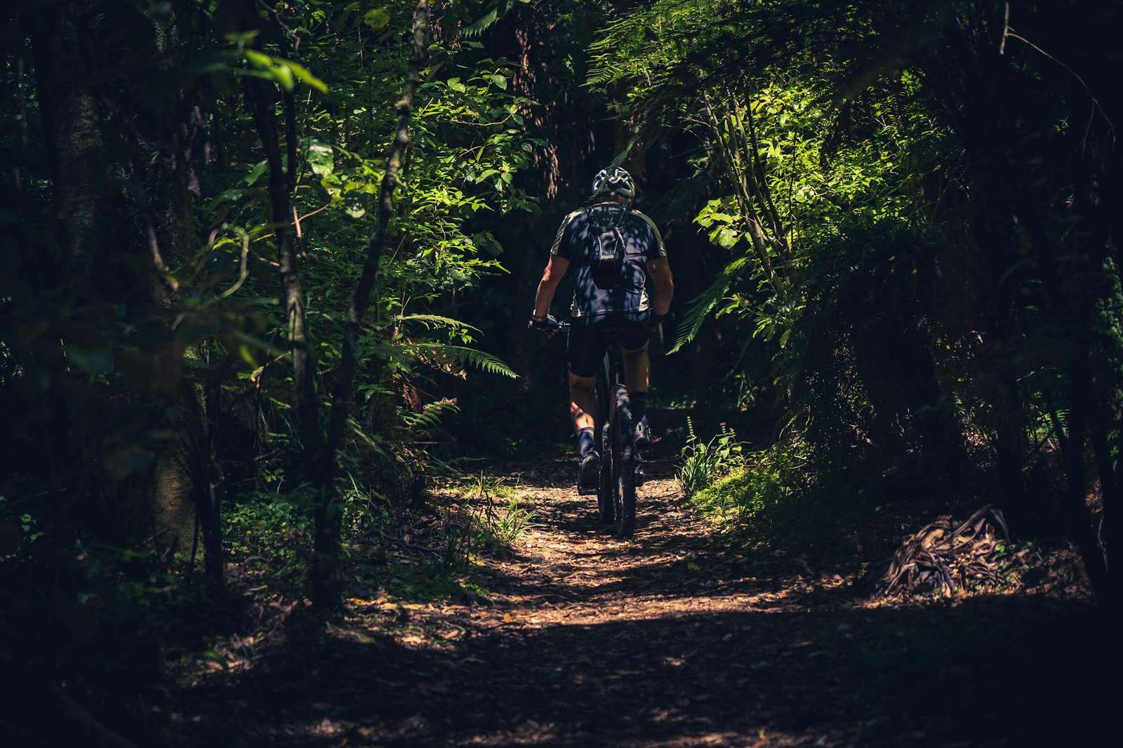 Cycling in Auckland — Auckland Marathon cycling