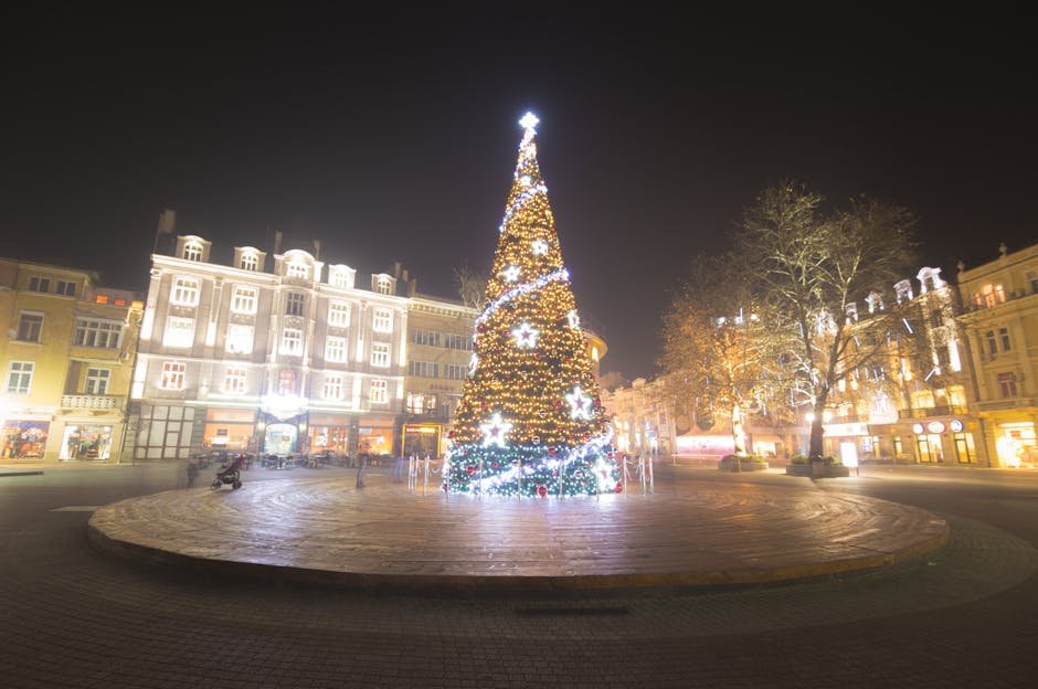 Auckland events December — Christmas tree city