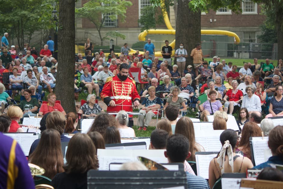 Auckland events December — summer concert