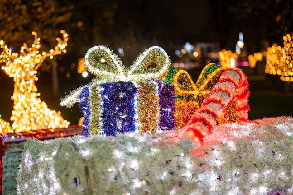 Auckland events December — festive lights
