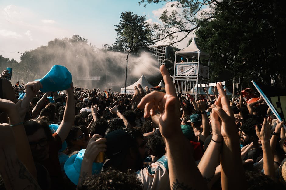 Auckland events December — outdoor festival