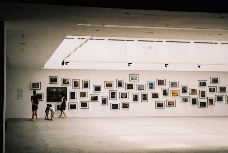 Auckland events November — art exhibition