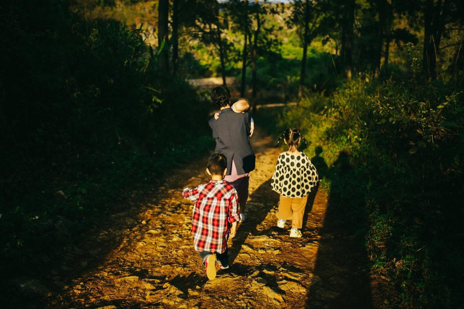 Family day trips Auckland — Waitakere Ranges family walks