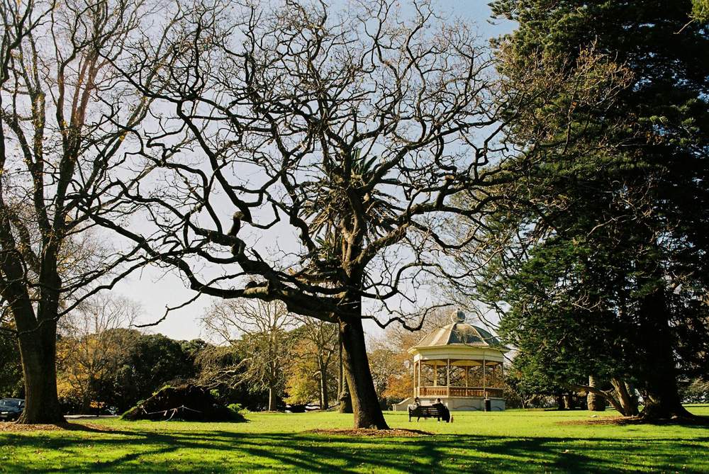 Auckland with toddlers — family parks Western Springs Cornwall
