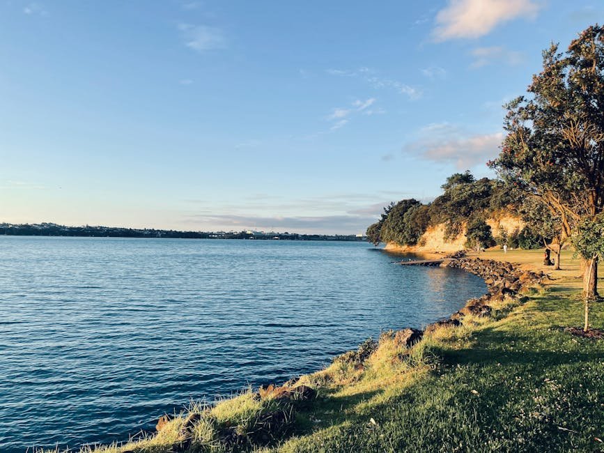 free things to do in Auckland — beach walk