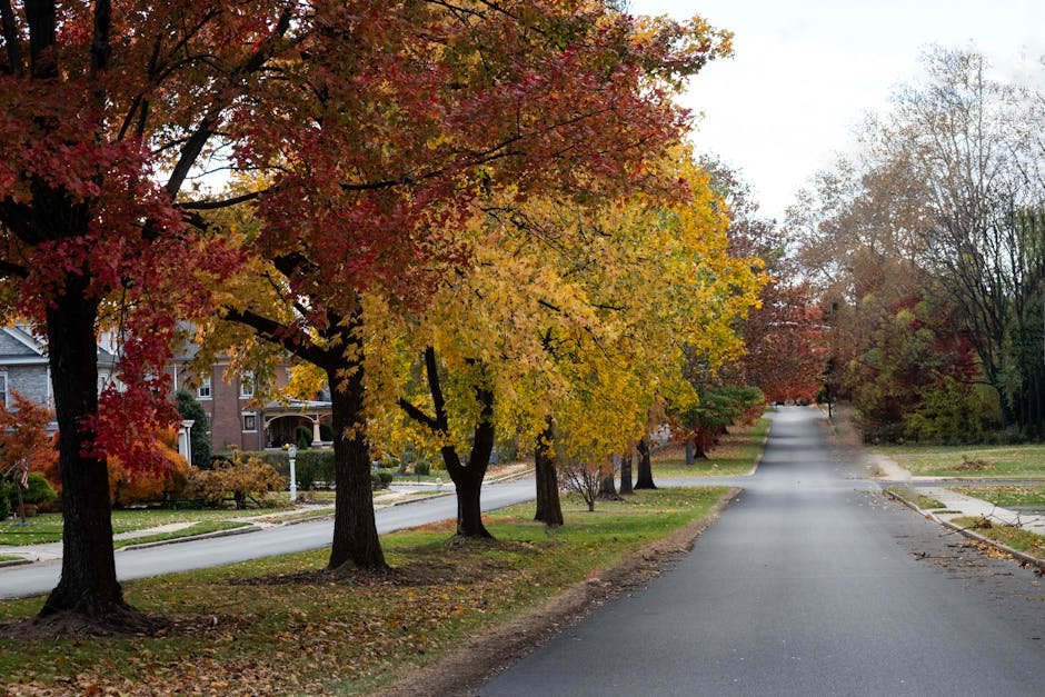 Grey Lynn Auckland — leafy heritage street