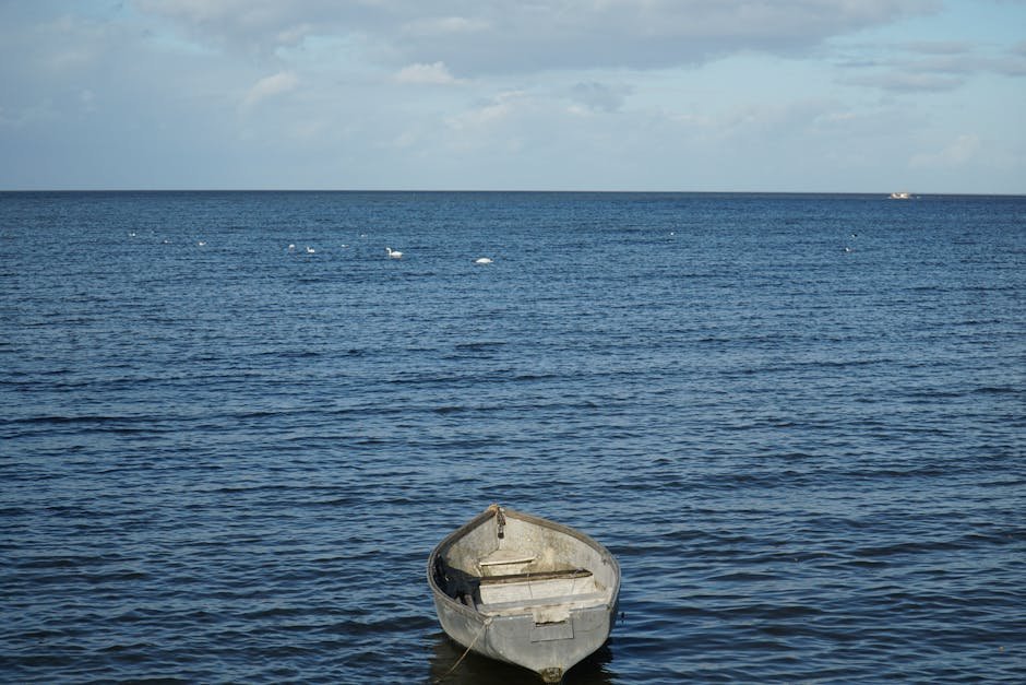 Hauraki Gulf islands — boat exploration