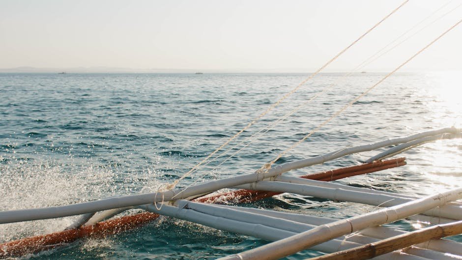Hauraki Gulf islands — island hopping boat