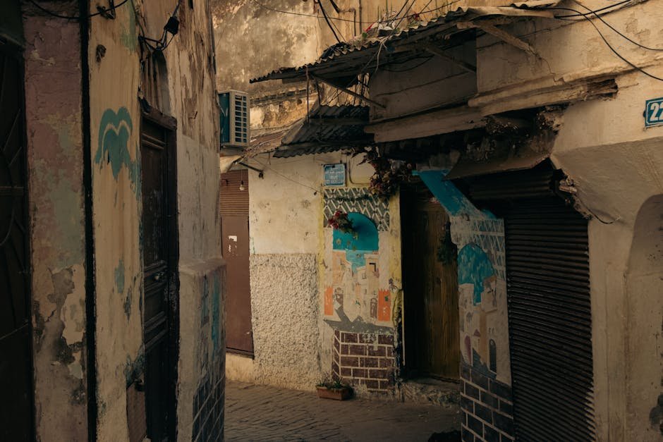 Auckland hidden gems — secret alley