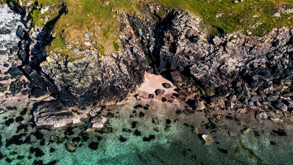 Auckland hidden gems — quiet beach cove