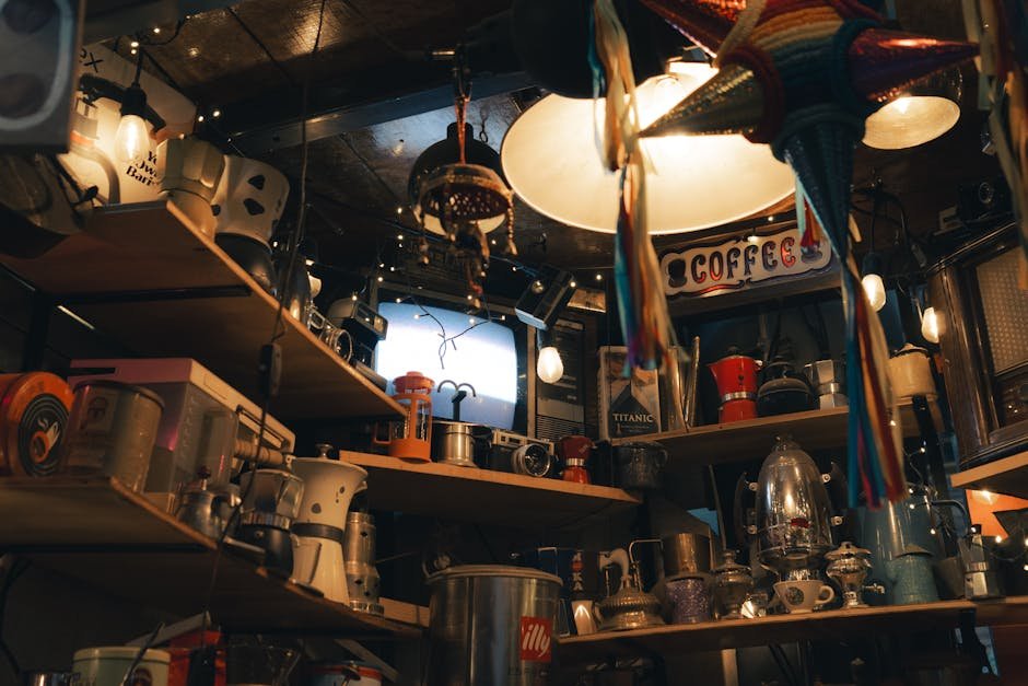 Auckland hidden gems — quirky café