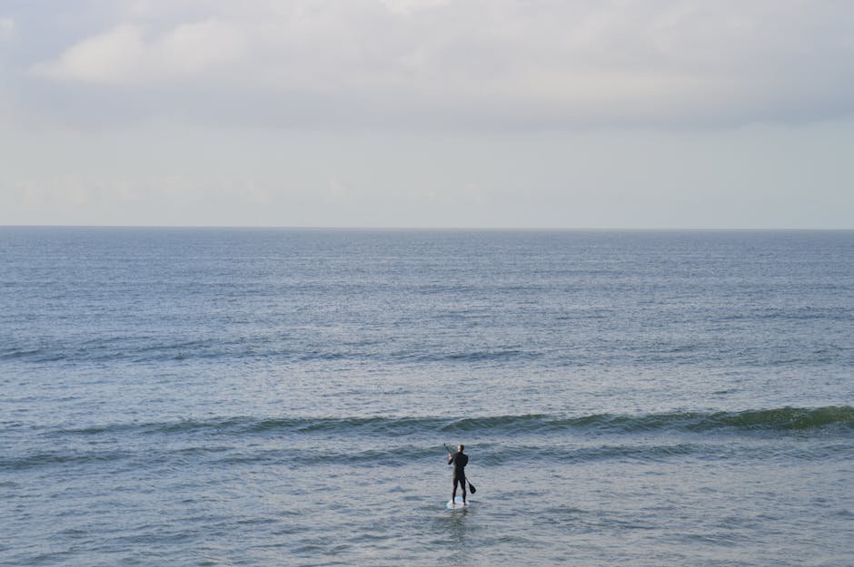 kayaking Auckland — paddleboarding sunset