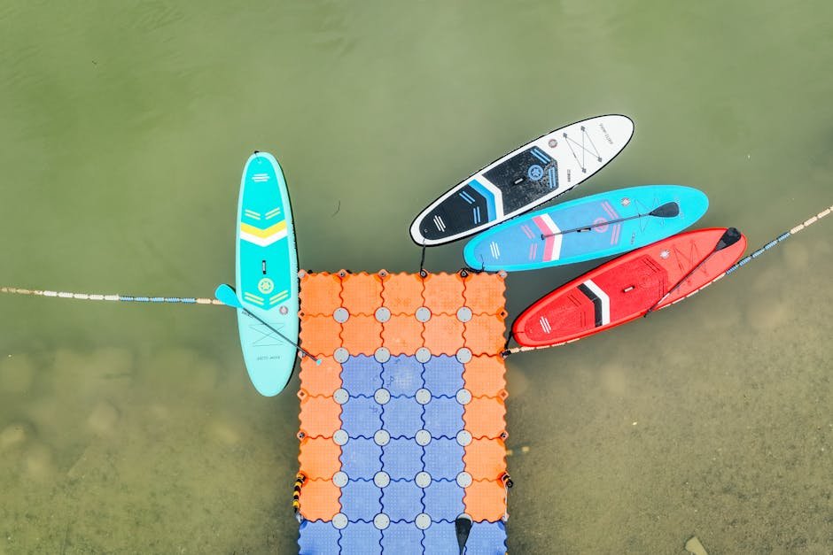 kayaking Auckland — stand up paddle board