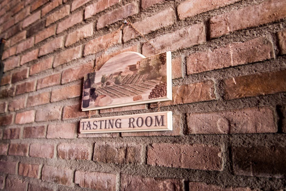 Matakana day trip — winery tasting