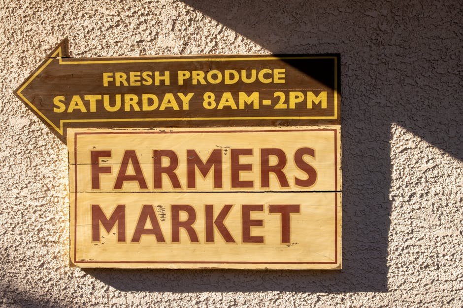Matakana day trip — Saturday farmers market