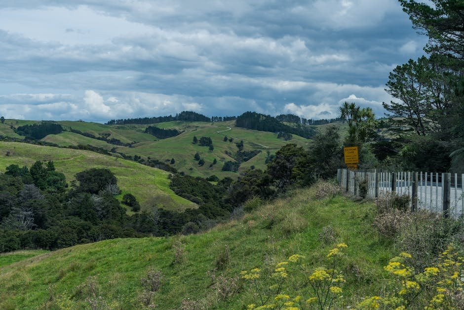 Matakana day trip — village rural Auckland