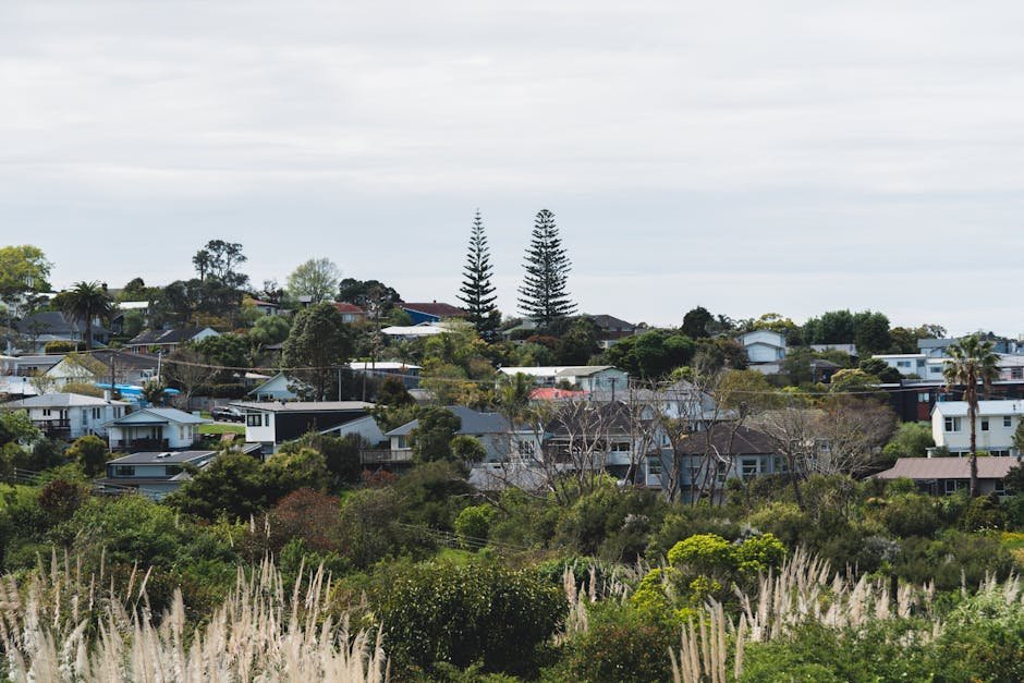 Mt Albert Auckland — Sandringham streets