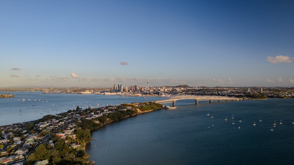 Rangitoto Motutapu day trip — harbour view