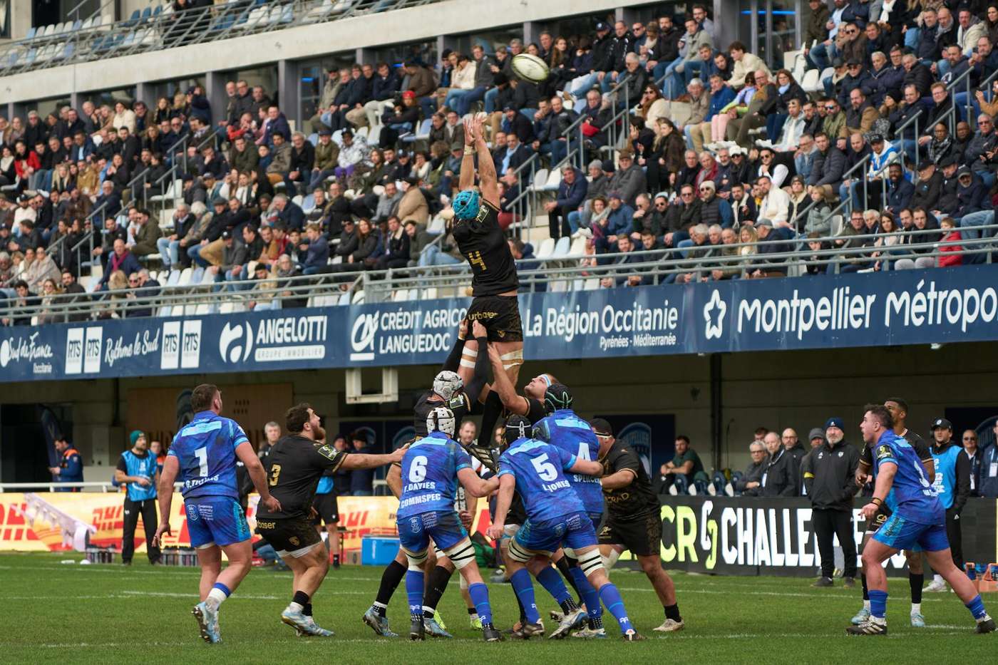 Auckland events September — rugby season finals